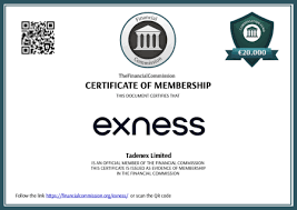 Comprehensive Guide to Exness Forex & CFDs Trading 10