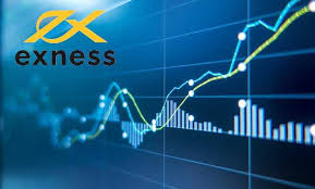 Exploring the Variety of Exness Trading Instruments