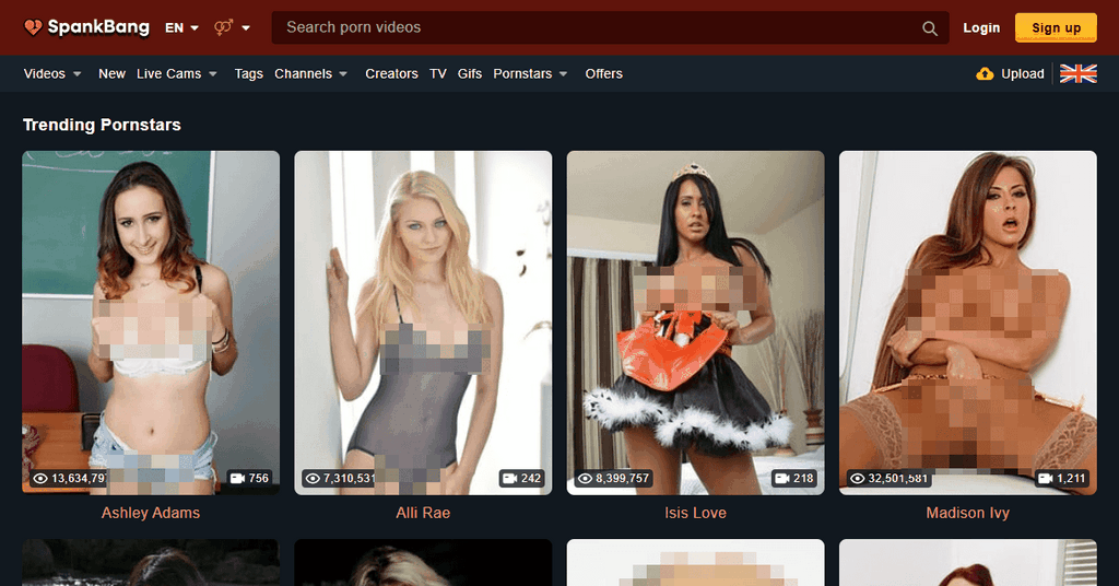 Why Spend For Premium Pornography Sites - Obtain Your Cash's Worth with Premium Pornography