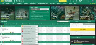 Comprehensive Guide to Sports Bets on Betwinner